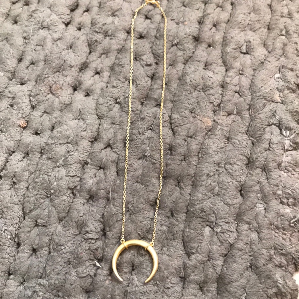 Horn necklace